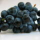 Maratheftiko Grapes Processed